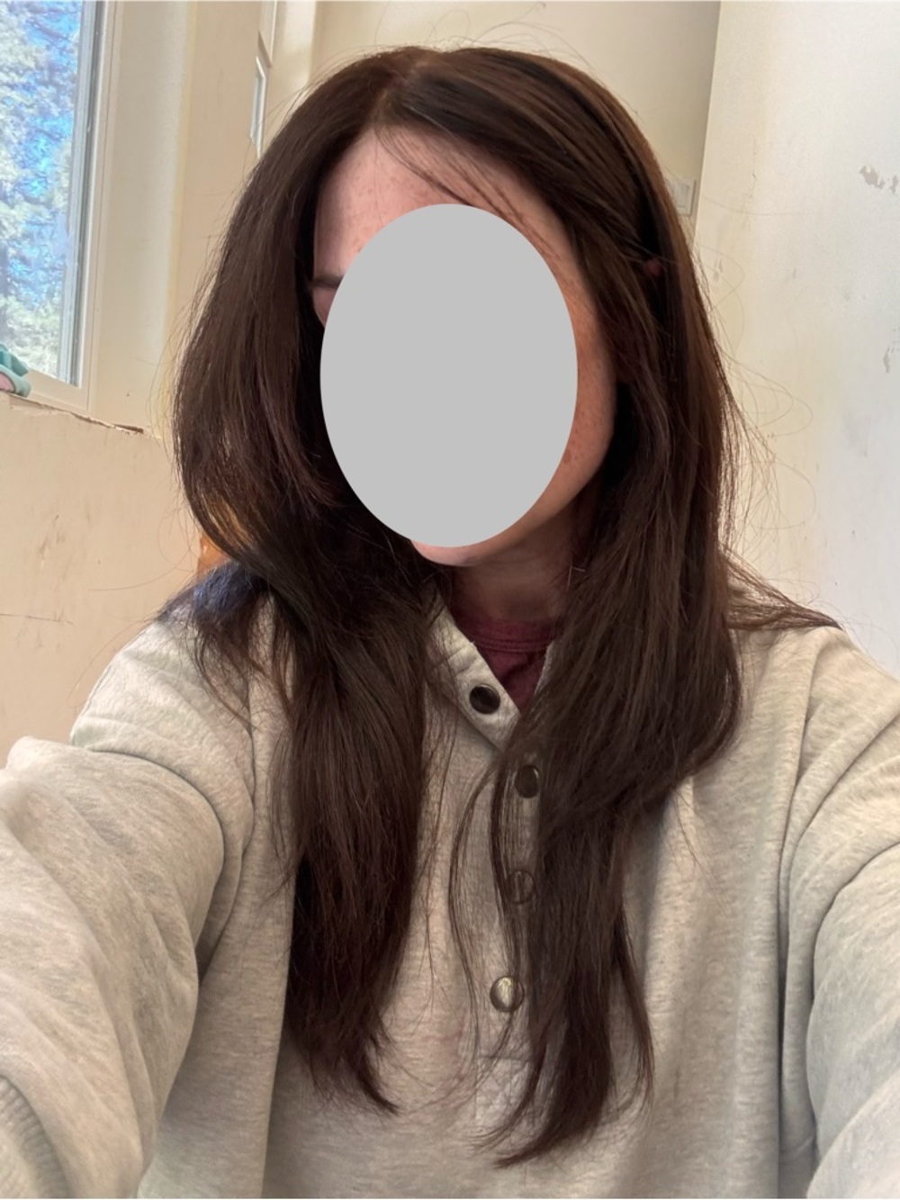 Women's Long Layered Wig - Dark Brown